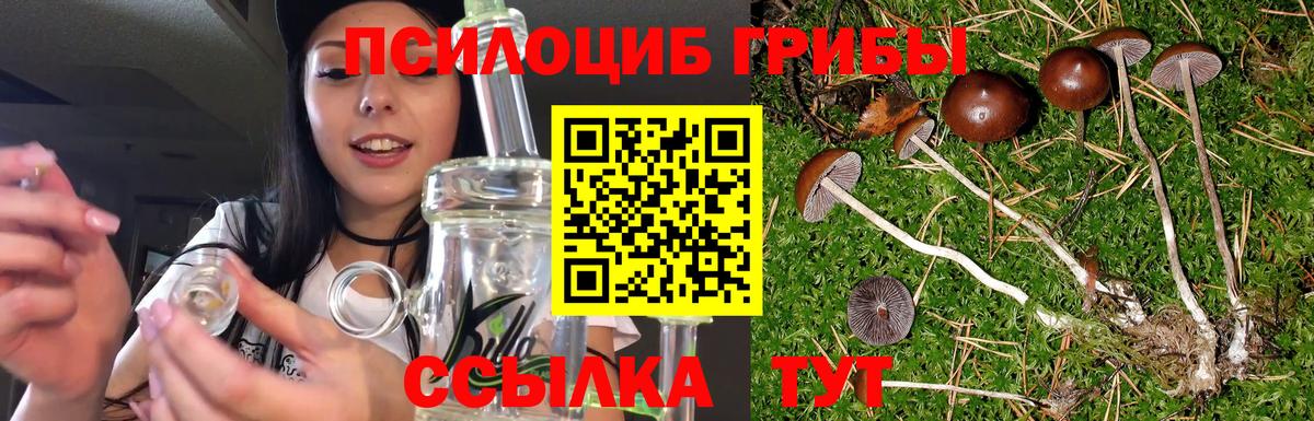 Галлюциногенные грибы прущие грибы Назрань