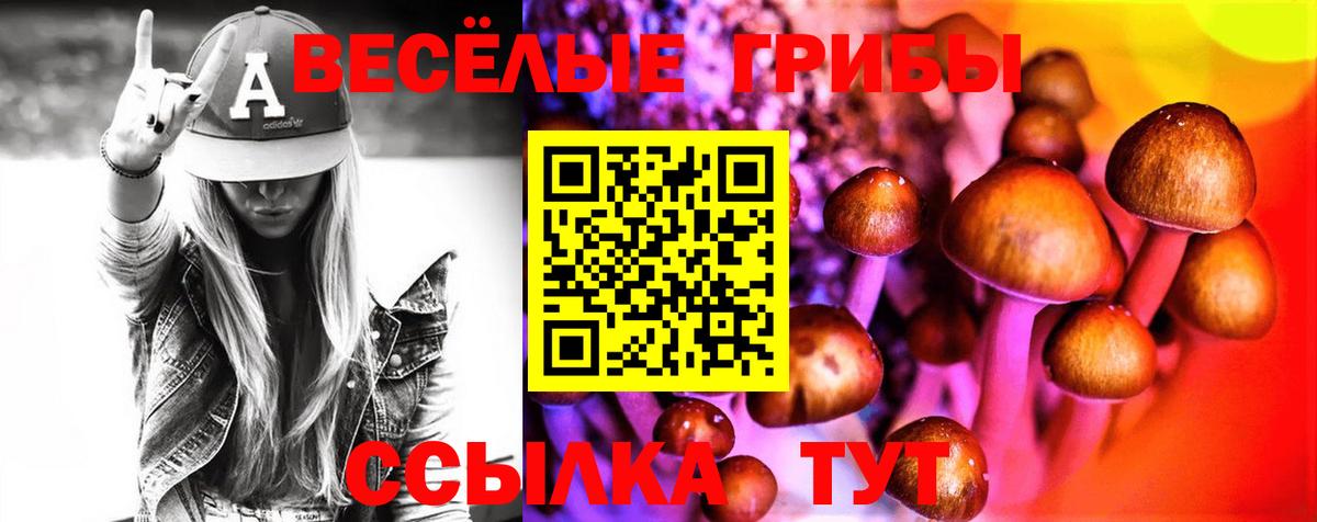 Псилоцибиновые грибы Cubensis  Галлюциногенные грибы мухоморы  Назрань  Вход с VPN 